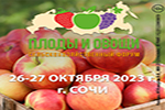 Плоды и овощи России - 2023
