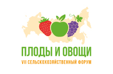     (    ),     ,     VII        2025!