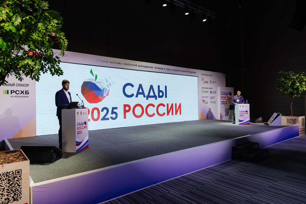 PRO  2026:   ,     