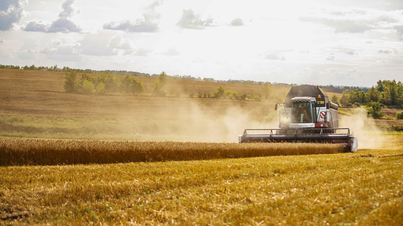 ��� ������ � �������� �����������