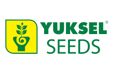 ��������� ������ ������� ������� ��� ����������� ������ Yuksel Seeds: ���������� ��������� � �������� ������� ��� ��������� ������ �����������