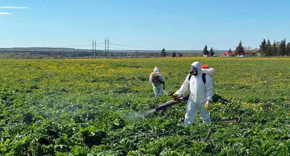 �������� ��� ��� ���������� � ������������� � ���������������� � ������ � ����������