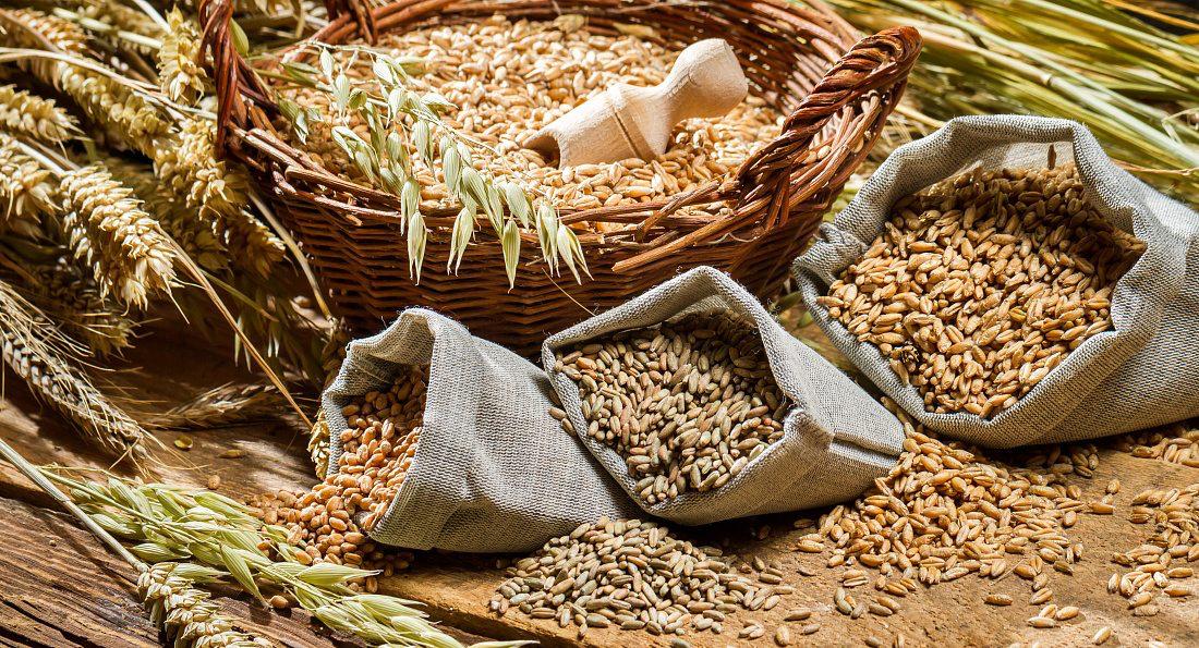 Киргизия почти вдвое нарастила закупки зерна и продуктов его переработки из Алтайского края