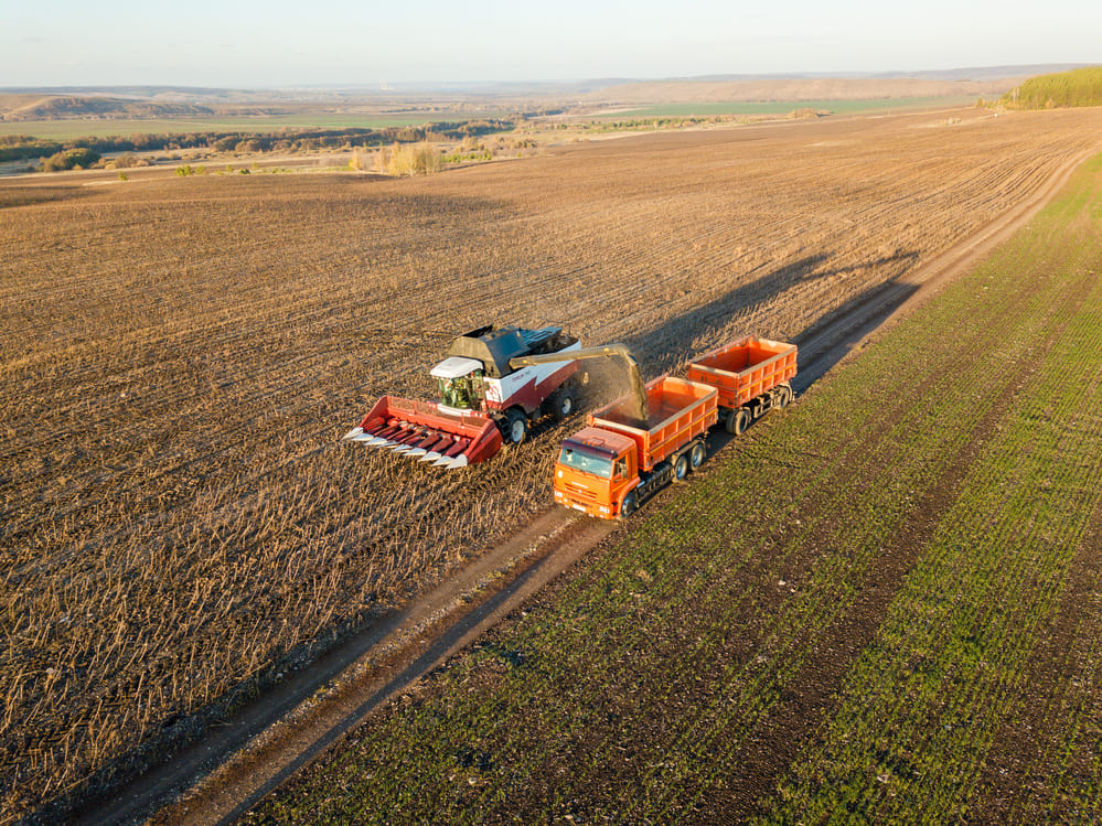 В холдинге «АГРОСИЛА» активно продолжается уборка технических культур