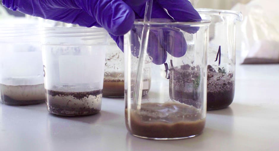 Специалисты Алтайского филиала ЦОК АПК провели исследования на показатели безопасности земель вдоль строящейся федеральной трассы