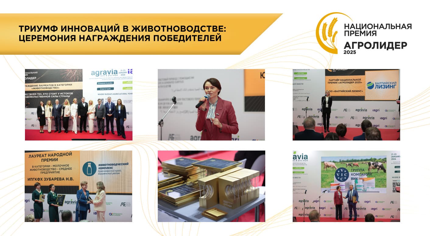 ������������ ������ ���������� 2025�: ������ ��������� � ��������������